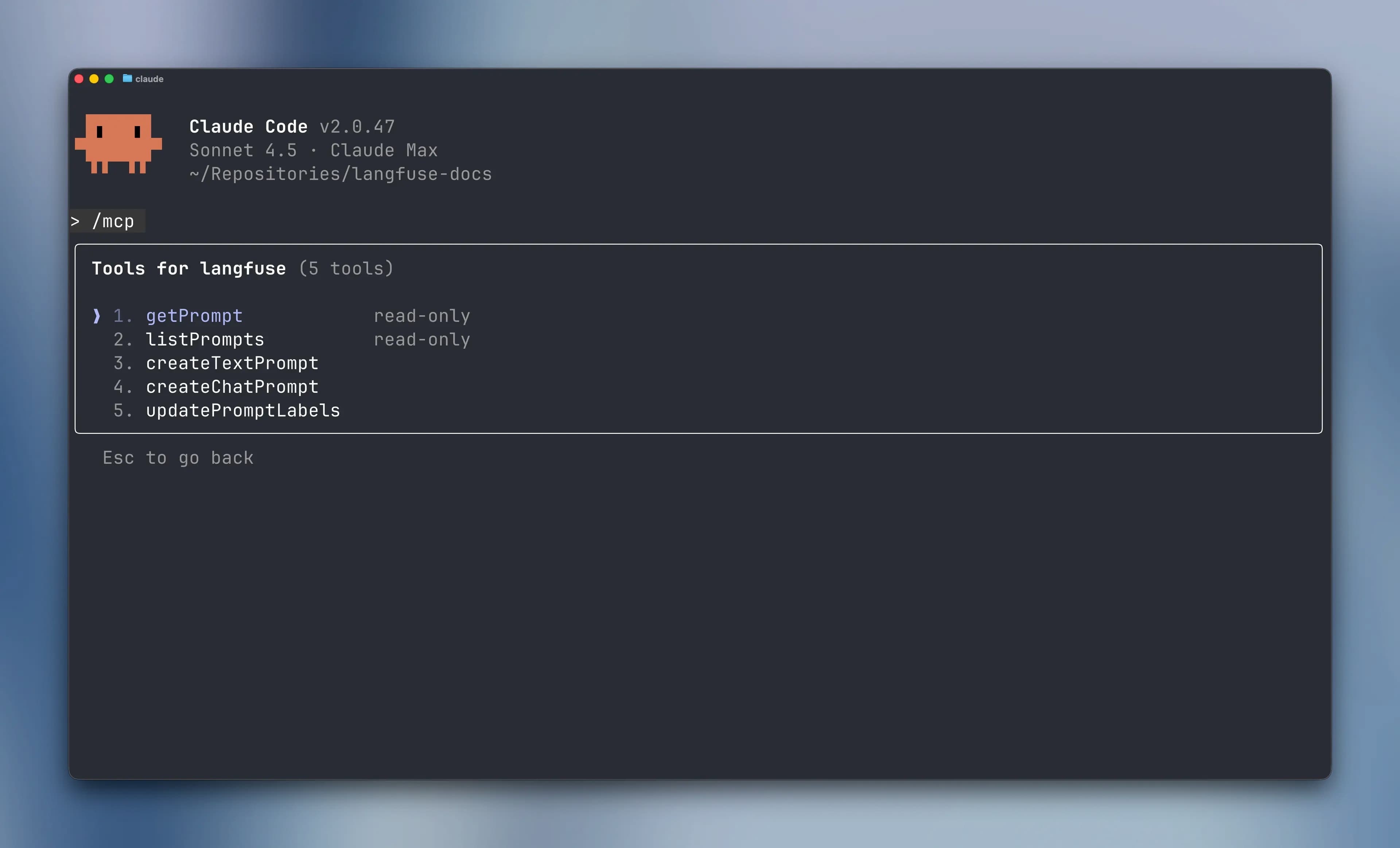 MCP Server